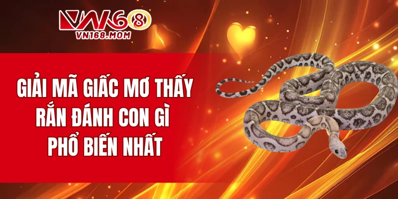 Giải mã giấc mơ thấy rắn đánh con gì phổ biến nhất