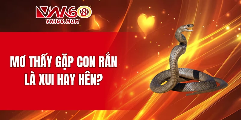 Mơ thấy gặp con rắn là xui hay hên?