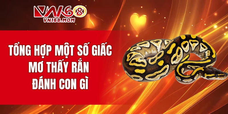 Tổng hợp một số giấc mơ thấy rắn đánh con gì